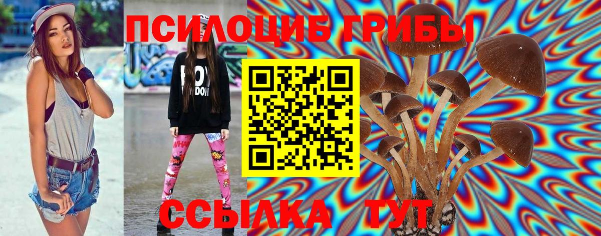 Псилоцибиновые грибы мицелий  Вход с VPN  Псилоцибиновые грибы Magic Shrooms  Губаха 